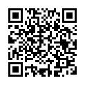 To view this 2012 Volkswagen Passat Lubbock TX from Adobe Auto Sales, please scan this QR code with your smartphone or tablet to view the mobile version of this page.